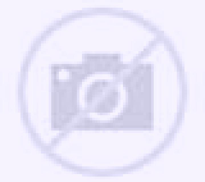Amaya Purranque escort