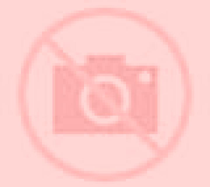 Andrea 2 Puerto Aysen escort