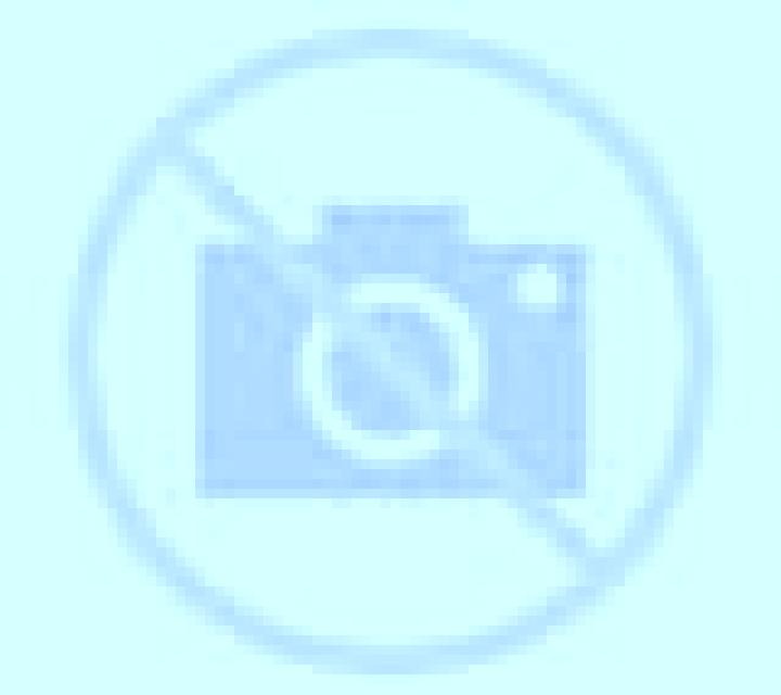 Antonella Maria Elena escort