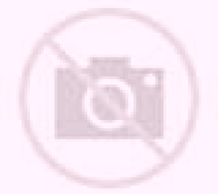 Brisa Villarrica escort
