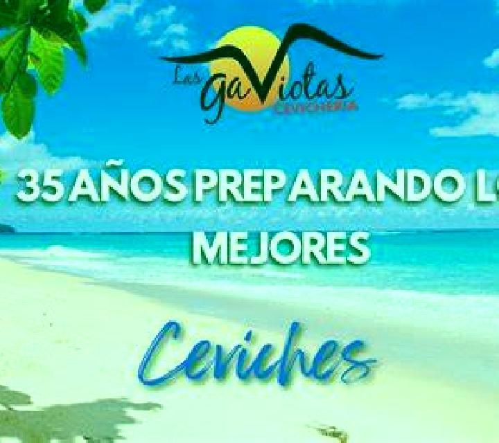 Camila Las Gaviotas escort