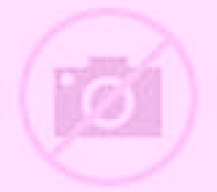 Catalina 2 Donihue escort