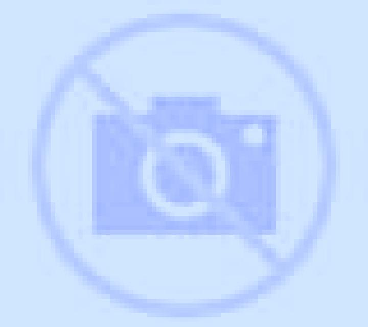 Catalina 3 Puerto Williams escort