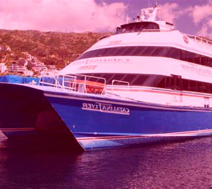 Catalina Cochrane escort