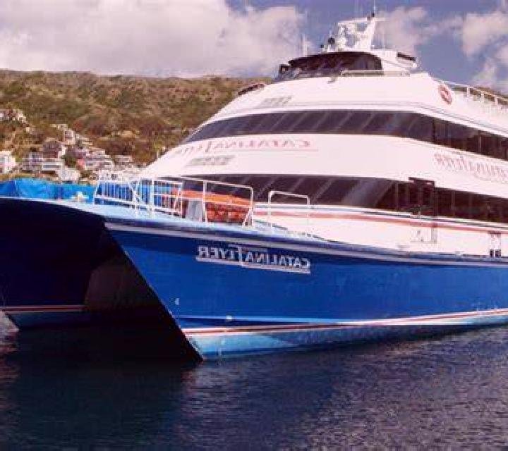 Catalina Hualpen escort