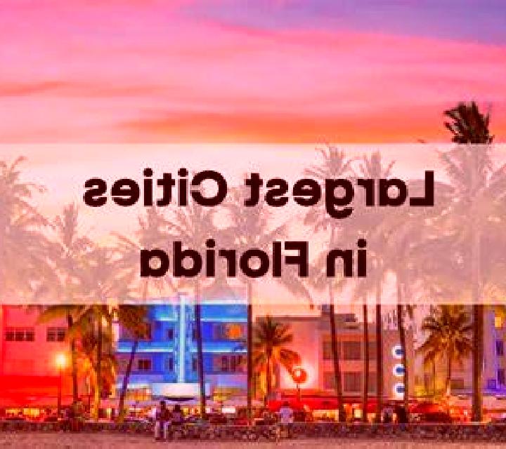 Cinthia Florida escort