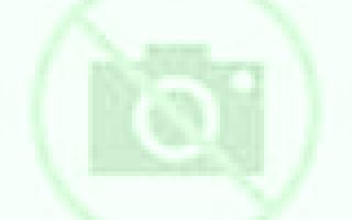 Constanza Arauco escort