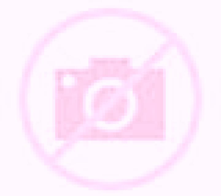 Cony 2 Chonchi escort