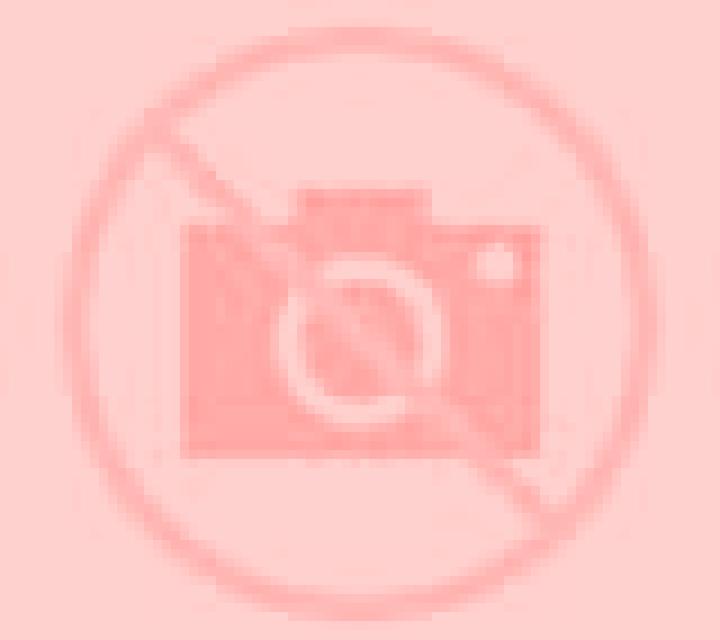 Emilia 3 Palmilla escort