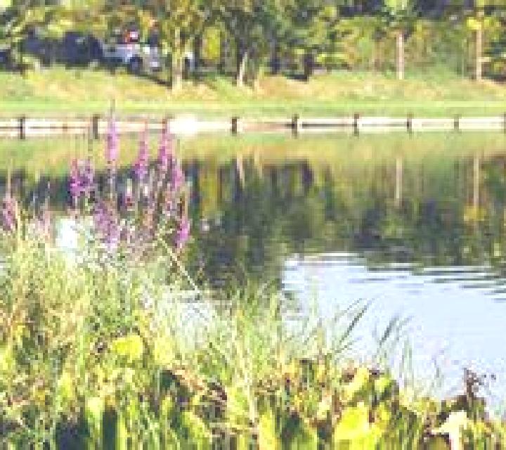 Florencia 3 Lago Verde escort