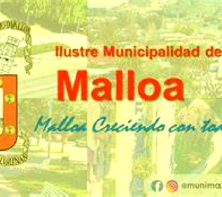 Fresia Rinconada de Malloa escort