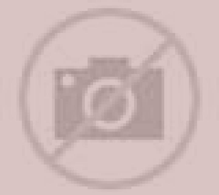 Katia Machali escort