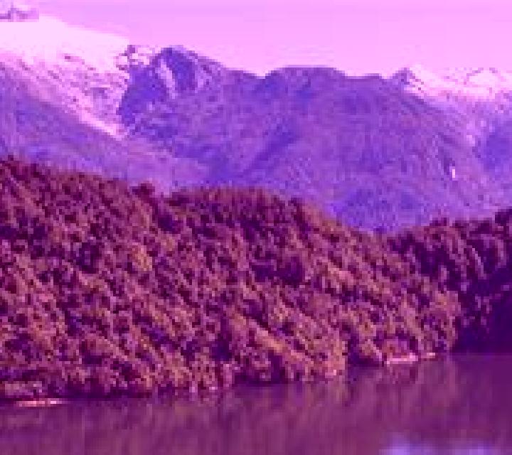Macarena 2 Puerto Chacabuco escort