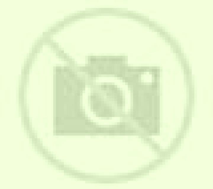 Millaray 2 Quilpue escort