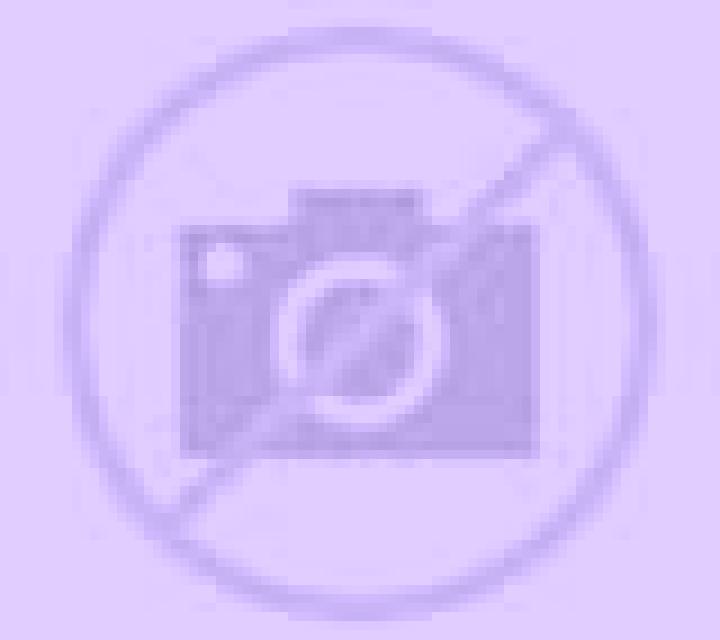 Renata 2 Villarrica escort