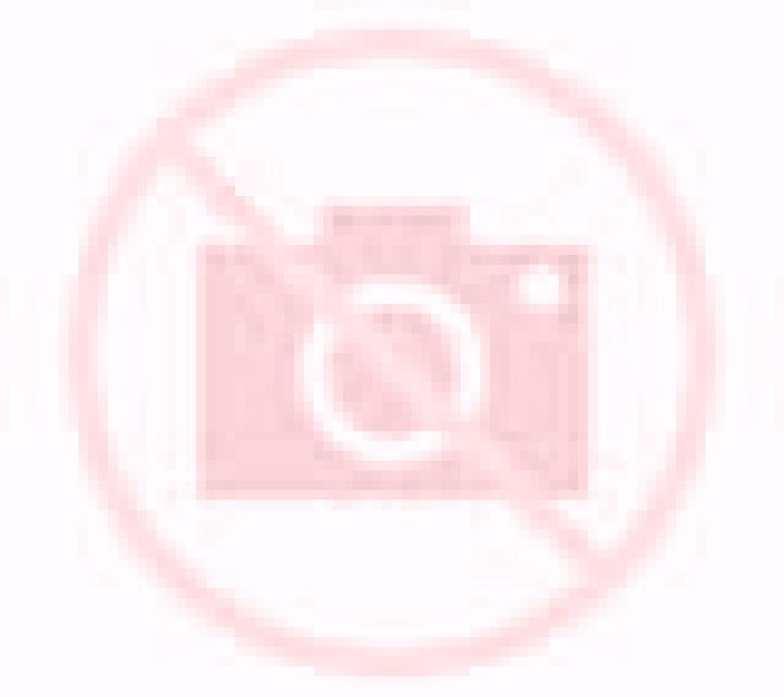 Yasmin 2 Placilla escort