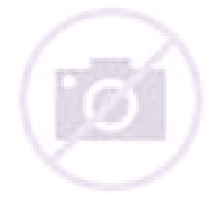 Zara 2 Santo Domingo escort