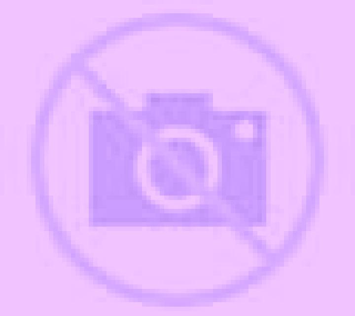 Zara Pichidegua escort